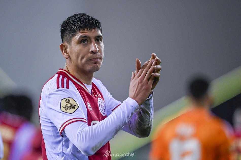 毛球界的成 毛球界的成